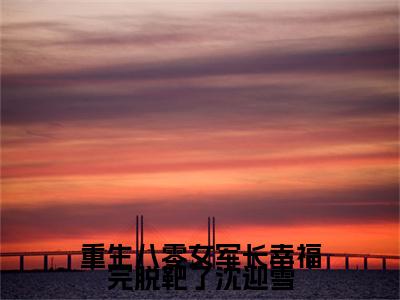 （重生八零女军长幸福完脱靶了沈迎雪）单扉光沈迎雪：+番外+后续起点章节+阅读即将发布预订