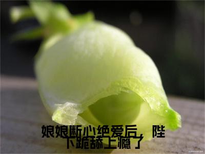最新章节_笔趣阁（苏云宁）苏云宁小说(娘娘断心绝爱后，陛下跪舔上瘾了)在线畅读阅读