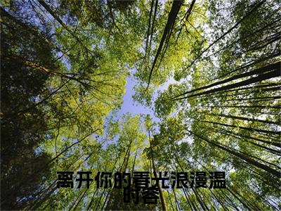 离开你的春光浪漫温时容小说(温时容宋景晏)序章+全章阅读（离开你的春光浪漫温时容）最新章节