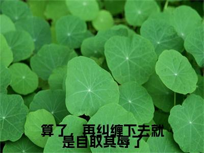 算了，再纠缠下去就是自取其辱了（燕容淮封岁全章节完整版）免费阅读_（燕容淮封岁）算了，再纠缠下去就是自取其辱了全文无删减免费阅读