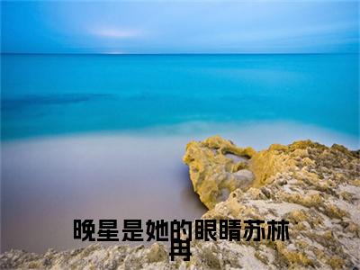 （苏林冉）晚星是她的眼睛苏林冉苏林冉无删减小说在线无广告高口碑小说