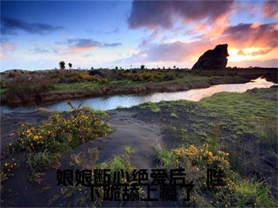 （书荒必看）娘娘断心绝爱后，陛下跪舔上瘾了小说TXT无套路阅读