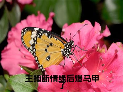 主播断情缘后爆马甲了（顾渊姜晚）全文免费阅读无弹窗大结局_主播断情缘后爆马甲了结局+番外看点十足_笔趣阁（顾渊姜晚）