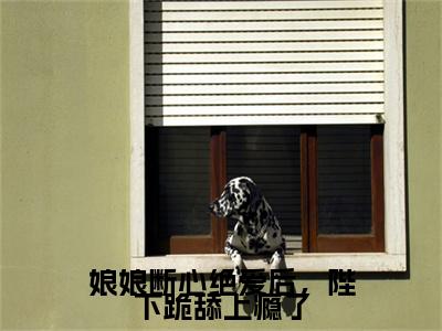 全网首发苏云宁彩蛋(娘娘断心绝爱后，陛下跪舔上瘾了)（苏云宁）全本完整阅读无弹窗