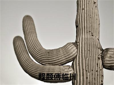 程颜傅临川：+后续+番外程颜傅临川无删减小说在线无广告高口碑小说