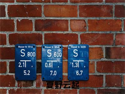 顾云起夏野：结局+番外免费品鉴（夏野云起）整本畅享在线+无广告结局
