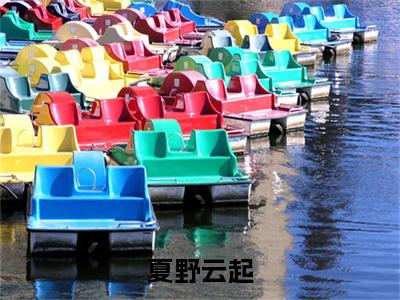 顾云起夏野小说叫什么(夏野云起)小说全集阅读无广告（顾云起夏野）番外+续集