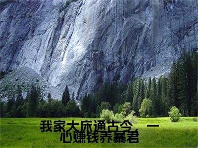 独家我家大床通古今，一心赚钱养暴君：结局+番外精编之作（苏见月萧玉祁）电子书畅享阅读