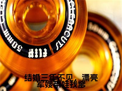 宋芝雅小说(结婚三年不见，漂亮军嫂带娃找爹)（宋芝雅）在线畅读阅读连载中