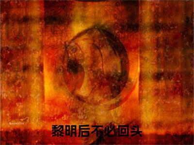 （黎明后不必回头）黎明后不必回头小说(陆诗苒宁鹤远)无套路无弹窗全部章节列表