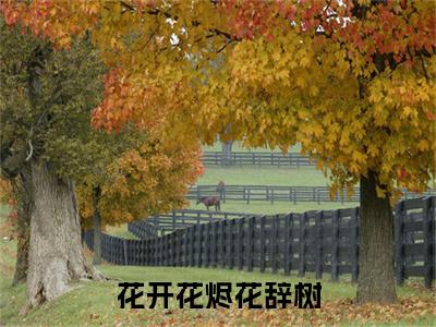 沈玉瑶宋聿风（花开花烬花辞树）全文免费阅读无弹窗_（沈玉瑶宋聿风全文免费阅读无弹窗）沈玉瑶宋聿风最新章节列表