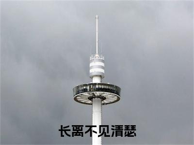 谢长离江清瑟小说全篇完整在线阅读（长离不见清瑟）热门章节列表