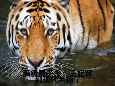 殷小柒：结局+番外免费品鉴满级真千金：王妃穿到现代杀疯了后续一口气无广告全书章节表