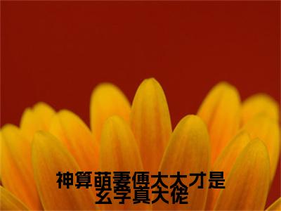 （傅霆渊锦朝朝）傅霆渊锦朝朝(神算萌妻傅太太才是玄学真大佬)整书在线无广告高口碑小说