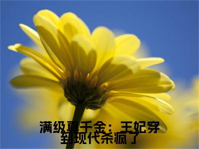 殷小柒（满级真千金：王妃穿到现代杀疯了）TXT无套路在线+无广告结局