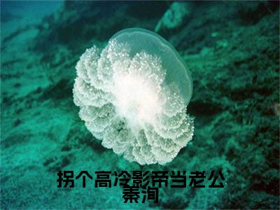 拐个高冷影帝当老公秦洵（江晚窈秦洵）免费阅读无弹窗大结局_拐个高冷影帝当老公秦洵小说（江晚窈秦洵）免费阅读最新章节列表