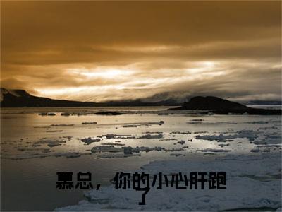 慕总，你的小心肝跑了（慕时奕姜柒）全文完整版免费阅读_慕总，你的小心肝跑了结局+番外看点十足_笔趣阁（慕时奕姜柒）