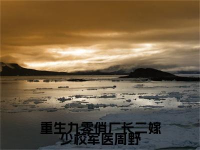 小说沈稚芸周野(沈稚芸周野)已更新+无删减（重生九零俏厂长二嫁少校军医周野）