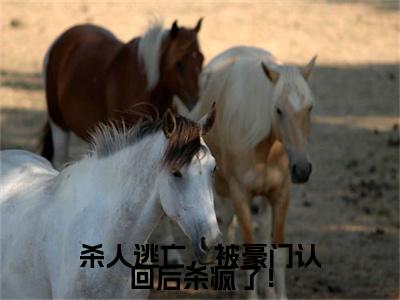 杀人逃亡，被豪门认回后杀疯了！小说番外+结局（简今歌）小说在线阅读