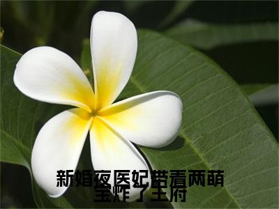 顾墨寒南晚烟小说无删减+后续（新婚夜医妃带着两萌宝炸了王府）畅享阅读