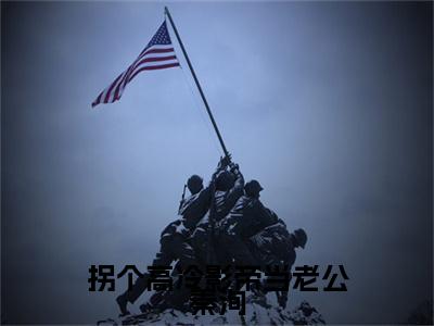 拐个高冷影帝当老公秦洵：结局+番外免费品鉴（江晚窈秦洵）整本畅享在线+无广告结局