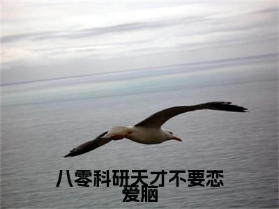 沈时聿傅清苒：结局+番外（八零科研天才不要恋爱脑）全本完整+后续+结局在线阅读