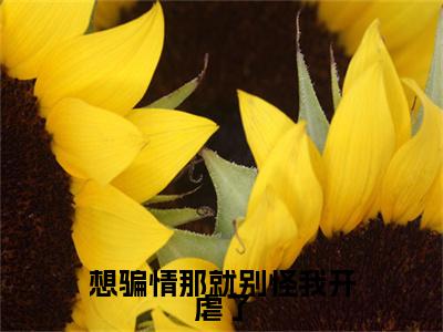 温栀妍沈霁寒小说(想骗情那就别怪我开虐了)（温栀妍沈霁寒）在线畅读阅读连载中