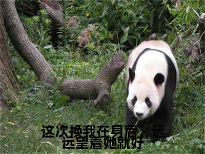 这次换我在身后，远远望着她就好江清晚顾止行彩蛋小说结尾+附加（江清晚顾止行）清爽版阅读