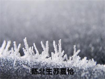 陈北生苏嘉怡（陈北生苏嘉怡：全文+后续+完结）全文阅读无弹窗结局_(陈北生苏嘉怡：陈北生苏嘉怡全文+后续+完结阅读全文结局)