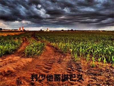 独家封少他蓄谋已久无删减(林晓月封景煜)（封少他蓄谋已久）TXT免费版阅读