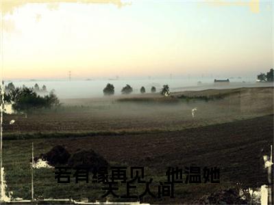 高分_温知意傅晏琛小说(若有缘再见，他温她天上人间)（温知意傅晏琛）全本完整阅读
