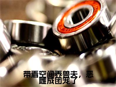 （带着空间养兽夫，恶雌成团宠了）带着空间养兽夫，恶雌成团宠了小说(苏沐瑶江墨川)小说全集速览无广告高口碑小说