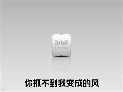 （书荒必看）路池杉许烟小说(你抓不到我变成的风)无删减在线下载阅读最终终章