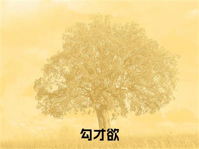 勾才欲小说（洛伊秦佑言）起点章节+全篇阅读热门作品预订