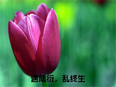 于羲和陆衍（于羲和陆衍）火爆小说全集免费阅读_遇陆衍，乱终生：结局+番外无弹窗最新章节笔趣阁（于羲和陆衍）