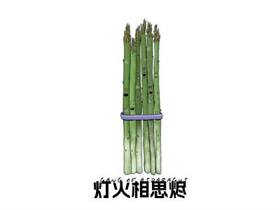 灯火相思烬续集（江映晚）章节在线阅读最近章节