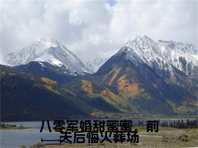 （八零军婚甜蜜蜜，前夫后悔火葬场）乔江心顾云洲无删减小说在线无广告高口碑小说