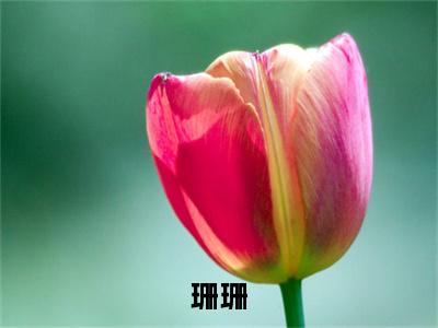 (番外)+(全文)珊珊结局+番外(闵珊珊陈彦之)全文免费阅读无弹窗大 结局_(珊珊结局+番外免费阅读全文大结局)最新章节列表_笔趣阁(珊珊结局+番外)