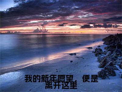 宋巧兰沈绥言小说(宋巧兰沈绥言)终章+番外（我的新年愿望，便是离开这里）一口气阅读