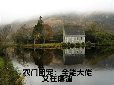 阮宁柳澈小说(农门团宠：全能大佬又在虐渣)（阮宁柳澈）全书+后续+结局在线阅读