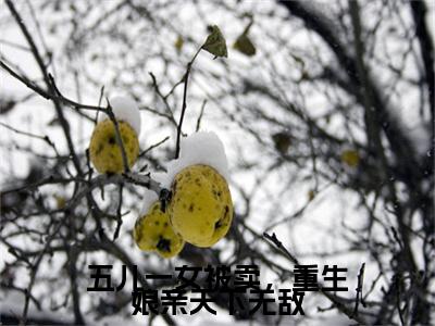 五儿一女被卖，重生娘亲天下无敌小说(傅雪梅)章节目录+起始篇章（五儿一女被卖，重生娘亲天下无敌）全章无套路在线