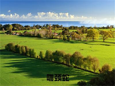 （头条）许述林适小说(吻颈蛇)整本免费版阅读无广告（许述林适）