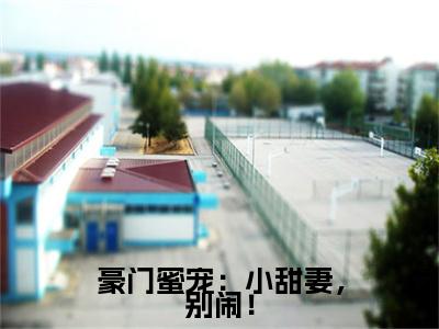 豪门蜜宠：小甜妻，别闹！迟薇薇景木后续(豪门蜜宠：小甜妻，别闹！)（迟薇薇景木）完整章节列表_笔趣阁