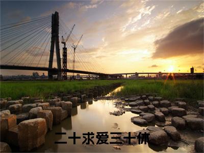 二十求爱三十休小说（许砚姜无言）前文+全本完整阅读预售作品抢先看