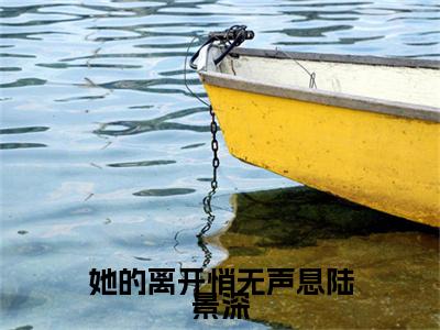 苏晚晴陆景深番外+结局（她的离开悄无声息陆景深）小说在线阅读