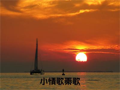 （书荒必看）秦司廷时念歌小情歌秦歌：+后续热血十足