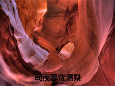 全网首发司夜寒沈清梨小说叫什么(沈清梨司夜寒)（司夜寒沈清梨）全书阅读纯净阅读