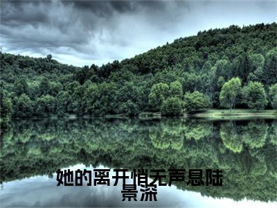 独家苏晚晴陆景深无删减(她的离开悄无声息陆景深)（苏晚晴陆景深）TXT免费版阅读