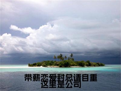 热门章节_笔趣阁（带薪恋爱封总请自重这里是公司）带薪恋爱封总请自重这里是公司小说(封隽奕江盼)章节在线阅读