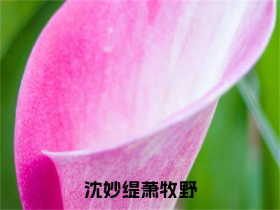 沈妙缇萧牧野(沈妙缇萧牧野)章节目录+起始篇章（沈妙缇萧牧野）：结局+番外评价五颗星
